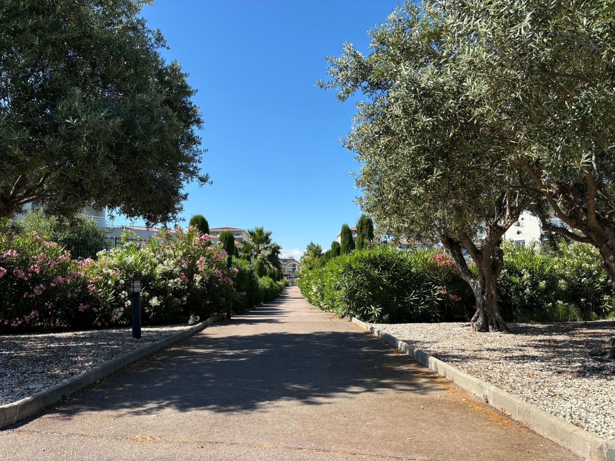 Apartment Beachside With Pool & Garden In Juan Les Pins Antibes