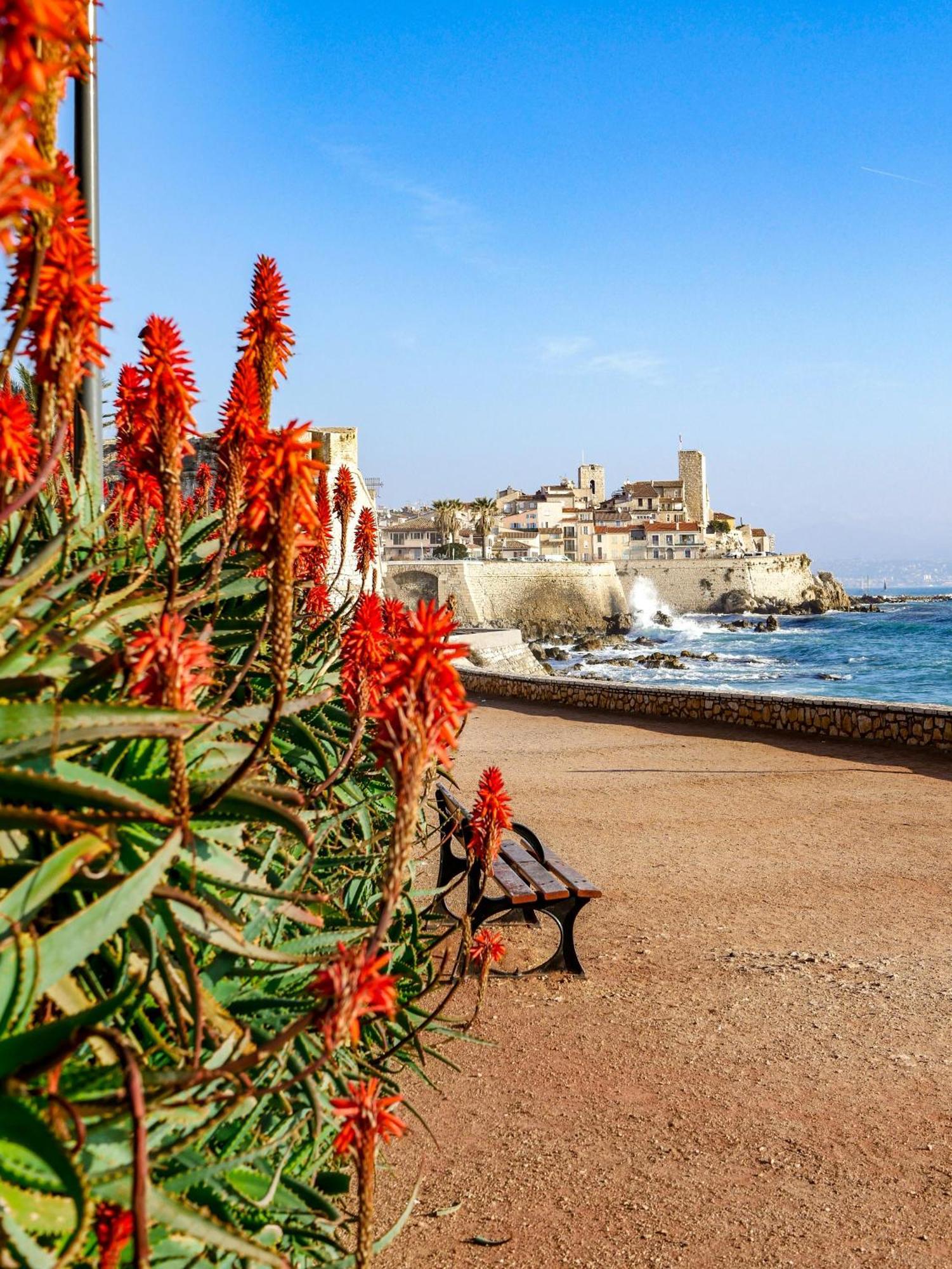 Beachside With Pool & Garden In Juan Les Pins Antibes
