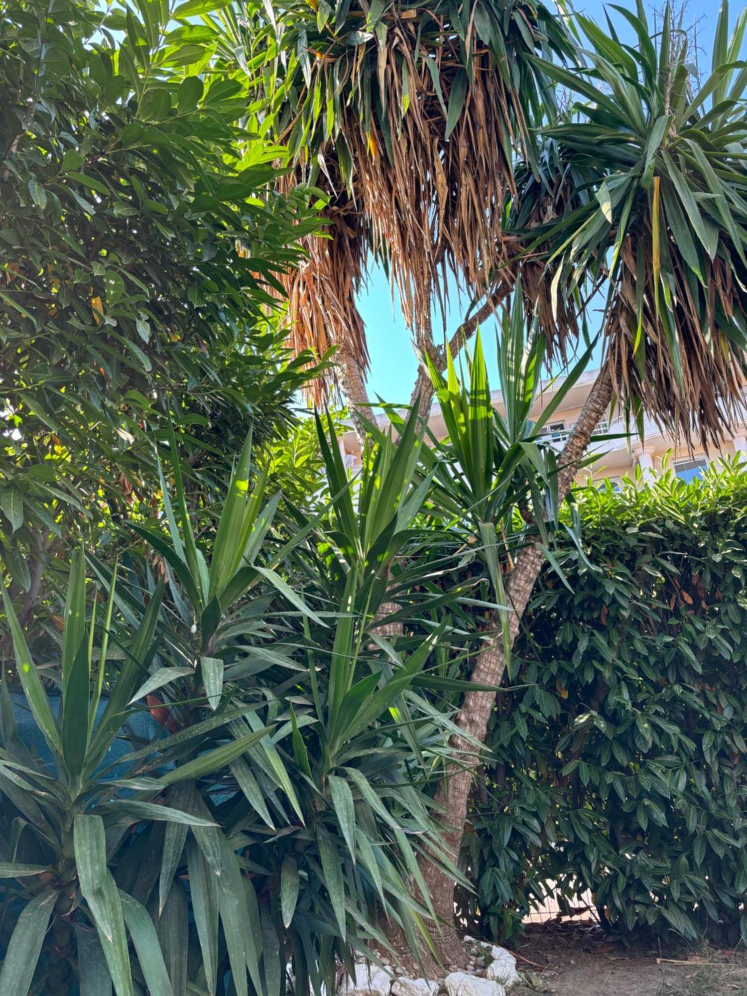 Beachside With Pool & Garden In Juan Les Pins